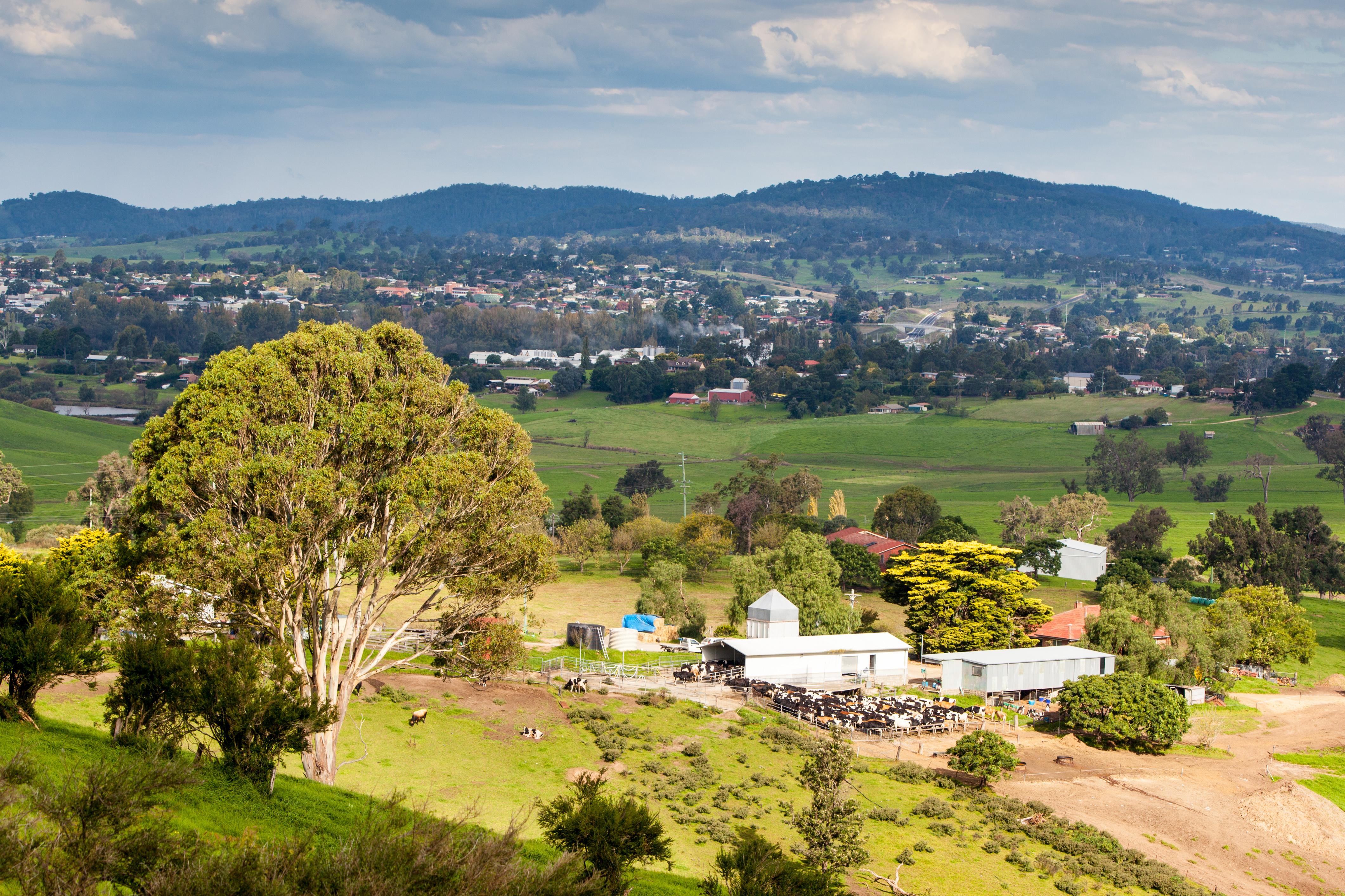Regions Rising - Bega, New South Wales
